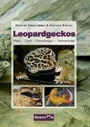 Leopardgeckos