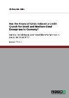 Has the Financial Crisis Induced a Credit Crunch for Small and Medium-Sized Enterprises in Germany?