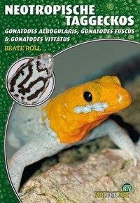 Neotropische Taggeckos