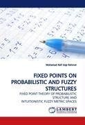 FIXED POINTS ON PROBABILISTIC AND FUZZY STRUCTURES