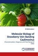 Molecular Biology of Strawberry Vein Banding Caulimovirus