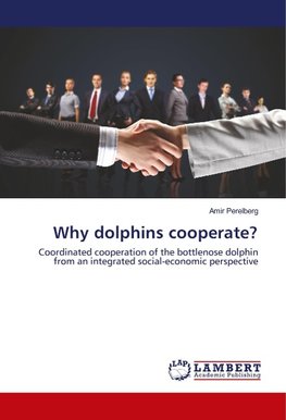 Why dolphins cooperate?