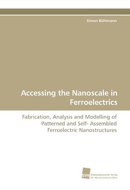 Accessing the Nanoscale in Ferroelectrics