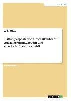 Haftungsaspekte von Geschäftsführern, Aufsichtsratsmitgliedern und Gesellschaftern der GmbH