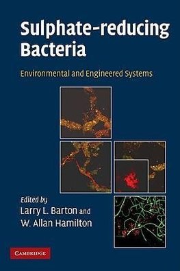 Sulphate-Reducing Bacteria