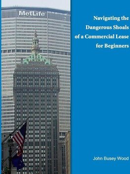 Navigating the Dangerous Shoals of a Commercial Lease for Beginners