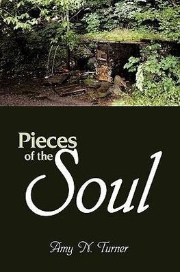 Pieces of the Soul