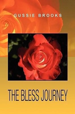 The Bless Journey