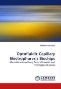 Optofluidic Capillary Electrophoresis Biochips