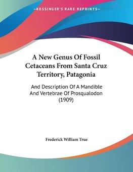 A New Genus Of Fossil Cetaceans From Santa Cruz Territory, Patagonia