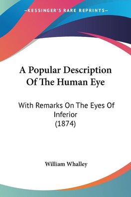 A Popular Description Of The Human Eye