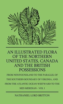 An Illustrated Flora Of The Northern United States, Canada And The British Possessions - From Newfoundland To The Parallel Of The Southern Boundary Of Virginla, And From The Atlantic Ocean Westward To The 102D Meridian - Vol 1