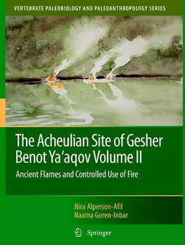 The Acheulian Site of Gesher Benot Ya'agov Volume II