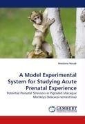 A Model Experimental System for Studying Acute Prenatal Experience