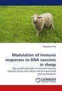 Modulation of immune responses to DNA vaccines in sheep