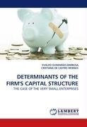 DETERMINANTS OF THE FIRM'S CAPITAL STRUCTURE