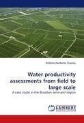 Water productivity assessments from field to large scale