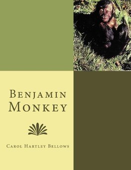 Benjamin Monkey