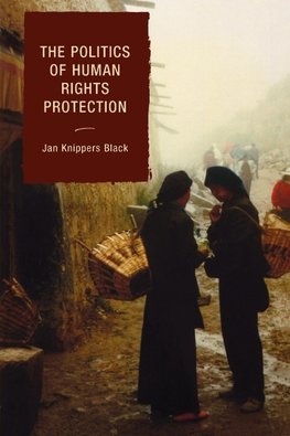 Politics of Human Rights Protection