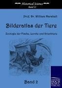 Bilderatlas der Tiere (Band 2)