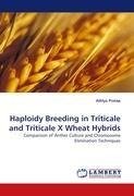 Haploidy Breeding in Triticale and Triticale X Wheat Hybrids