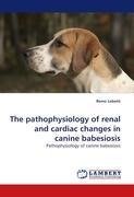 The pathophysiology of renal and cardiac changes in canine babesiosis