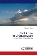 NMR Studies of Structural Motifs