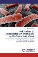 Cell Surface of Mycobacterium smegmatis at the Stationary phase