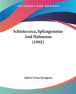 Schistocerca, Sphingonotus And Halmenus (1902)