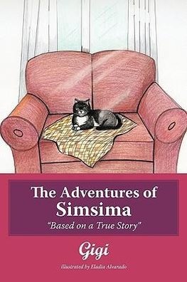 The Adventures of Simsima