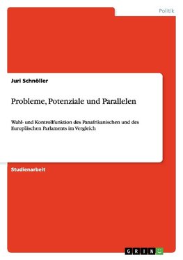 Probleme, Potenziale und Parallelen