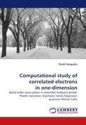 Computational study of correlated electrons in one-dimension