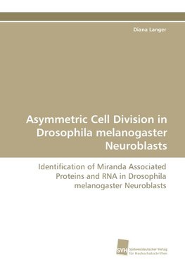 Asymmetric Cell Division in Drosophila melanogaster Neuroblasts