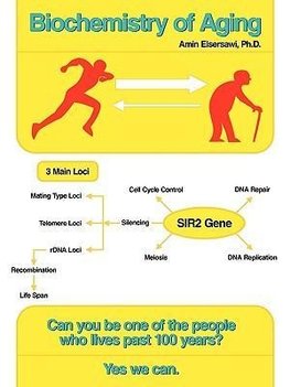 Biochemistry of Aging