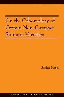 On the Cohomology of Certain Non-Compact Shimura Varieties (AM-173)