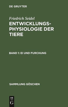 Ei und Furchung