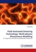 Field Activated Sintering Technology: Multi-physics Phenomena Modeling