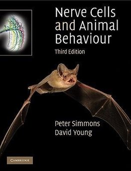 Nerve Cells and Animal Behaviour