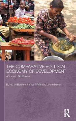 The Comparative Political Economy of Development