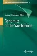 Genomics of the Saccharinae