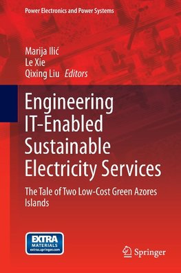 Engineering IT-Enabled Sustainable Electricity Services