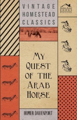 My Quest of the Arab Horse