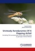 Unsteady Aerodynamics Of A Flapping Airfoil