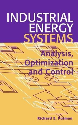 Industrial Energy Systems