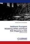 Sediment Transport Modeling (STM) and Flood Risk Mapping in GIS