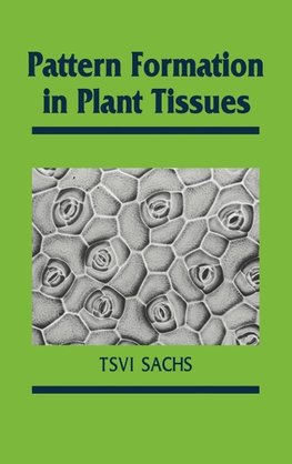 Pattern Formation in Plant Tis