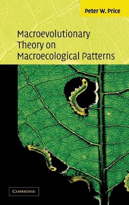 Macroevolutionary Theory on Macroecological Patterns