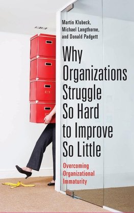 Why Organizations Struggle So Hard to Improve So Little