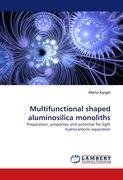 Multifunctional shaped aluminosilica monoliths