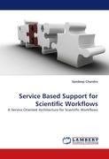 Service Based Support for Scientific Workflows